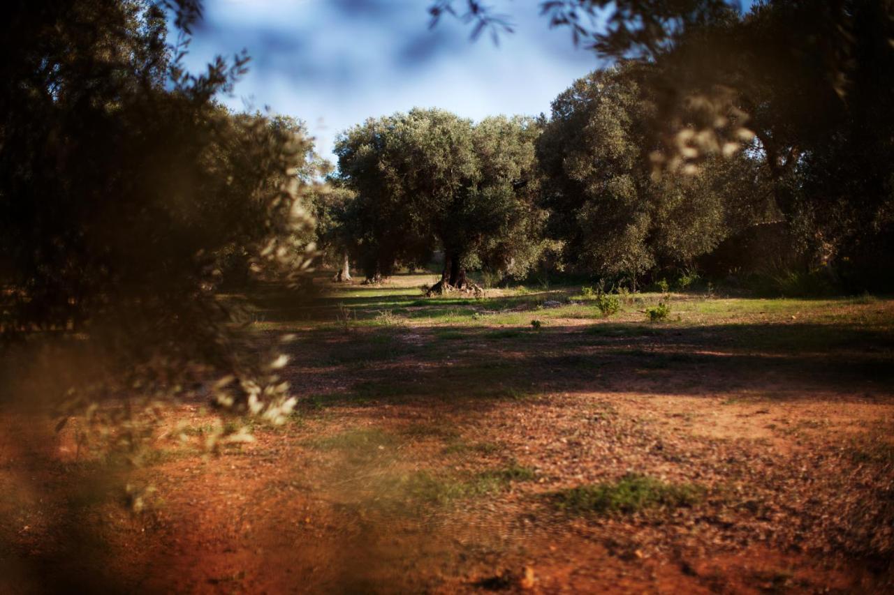 Masseria Borgo Mortella Lecce Bagian luar foto