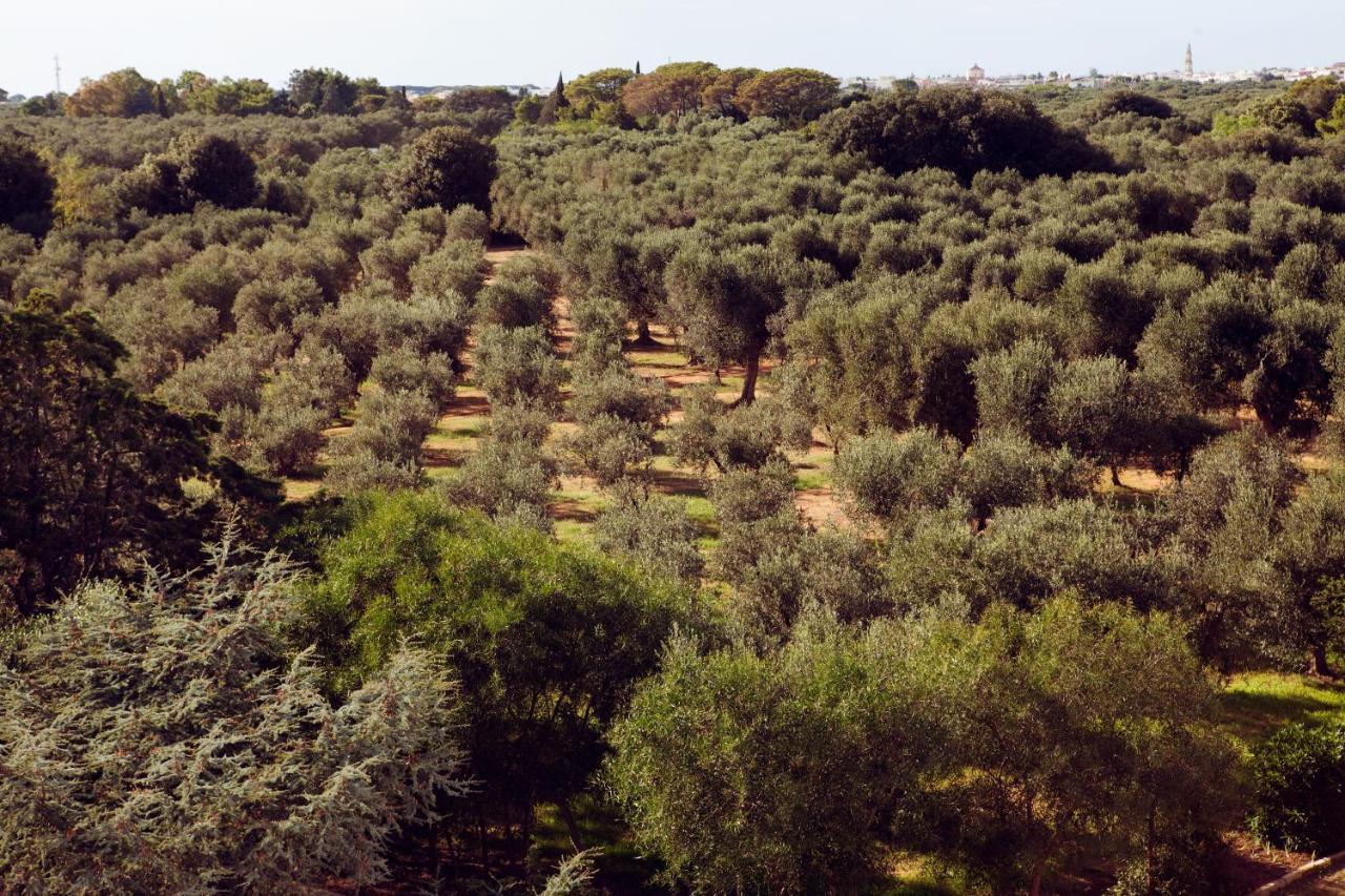 Masseria Borgo Mortella Lecce Bagian luar foto